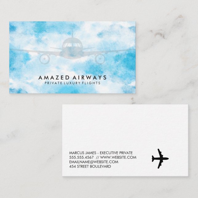 Plane in the Sky Business Card (Front/Back)
