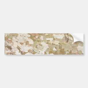 Plane tree camouflage looks bark pattern bumper sticker
