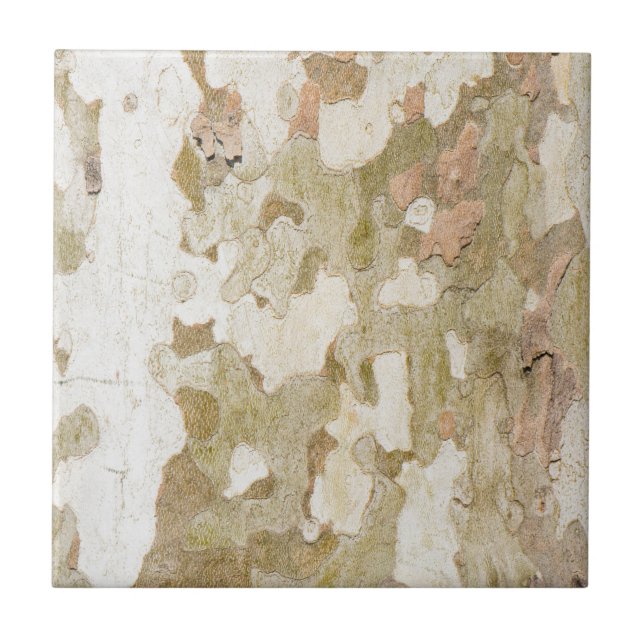 Plane tree camouflage looks bark pattern ceramic tile (Front)