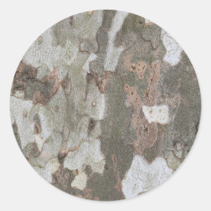 Plane tree camouflage looks bark pattern classic r round sticker