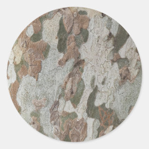 Plane tree camouflage looks bark pattern classic round sticker