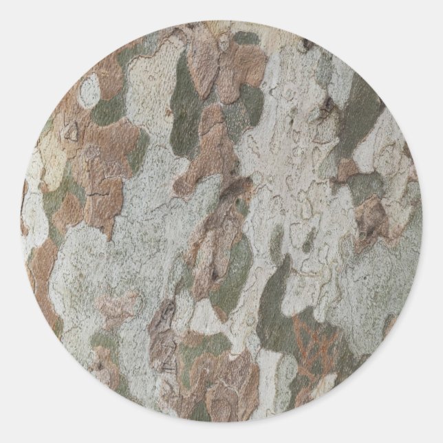 Plane tree camouflage looks bark pattern classic round sticker (Front)
