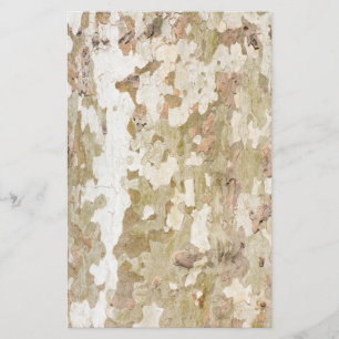Plane tree camouflage looks bark pattern flyer