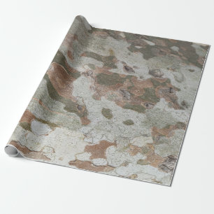 Plane tree camouflage looks bark pattern wrapping  paper