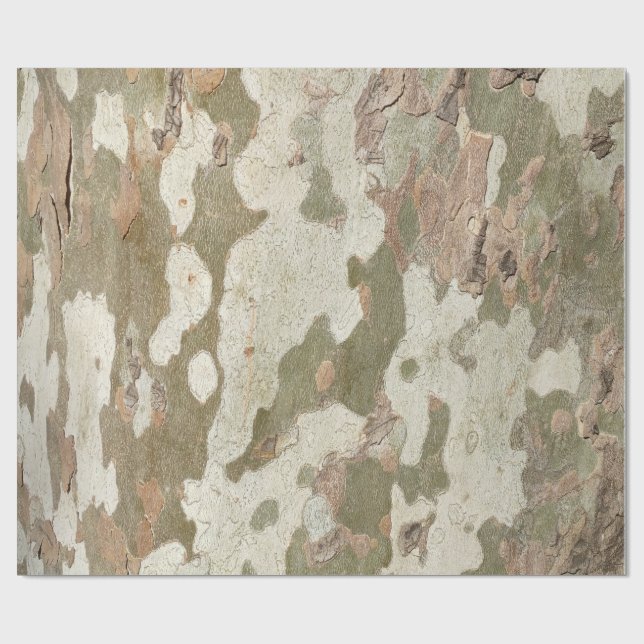 Plane tree camouflage looks bark pattern wrapping paper (Flat)