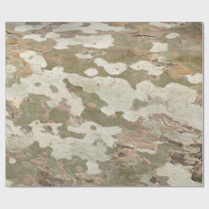 Plane tree camouflage looks bark pattern wrapping paper