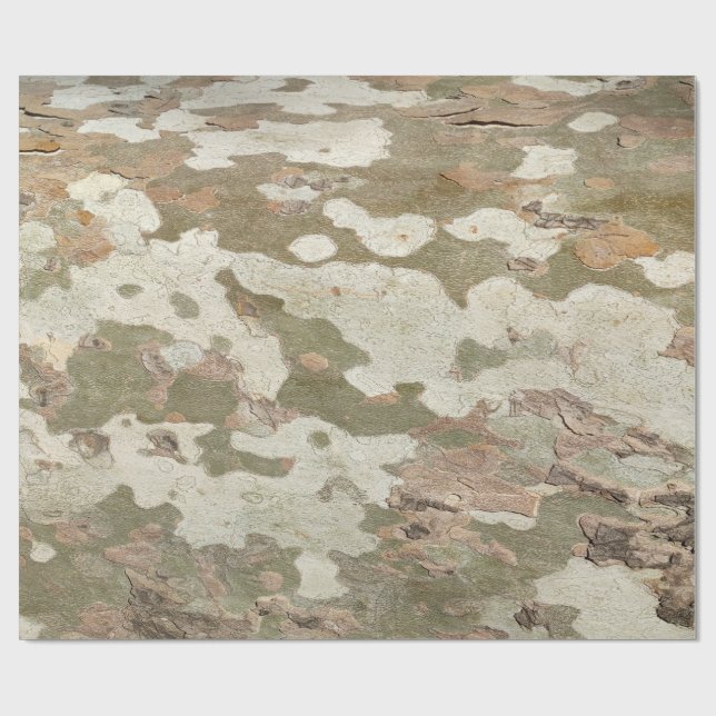 Plane tree camouflage looks bark pattern wrapping paper (Flat)