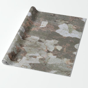 Plane tree camouflage looks bark pattern wrapping paper