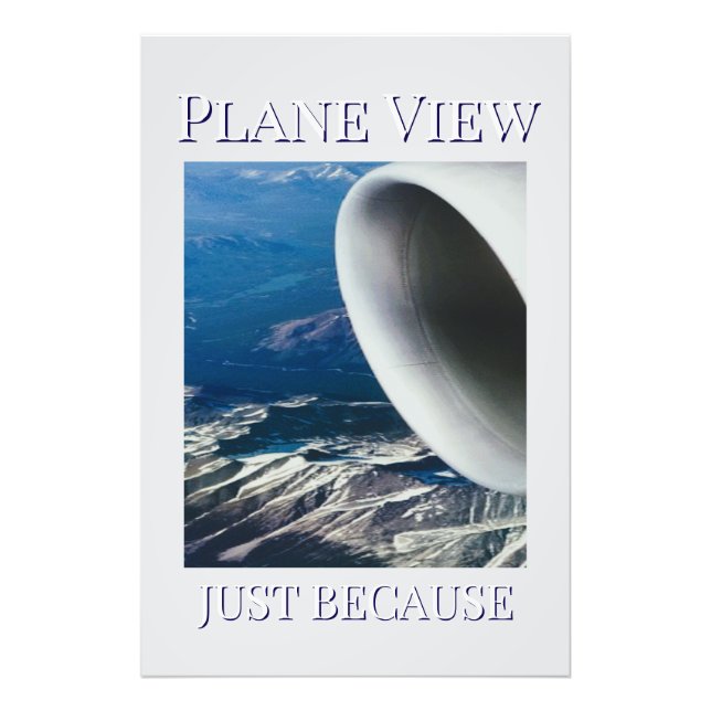 Plane View   Photo Print (Front)