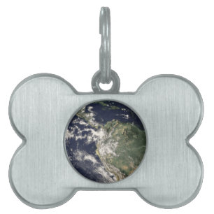 Planet Earth Pet ID Tag