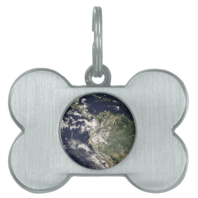Planet Earth Pet ID Tag (Front)