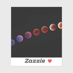 Planets in solar system like life