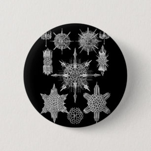 Plankton Skeletons in Black and White 6 Cm Round Badge