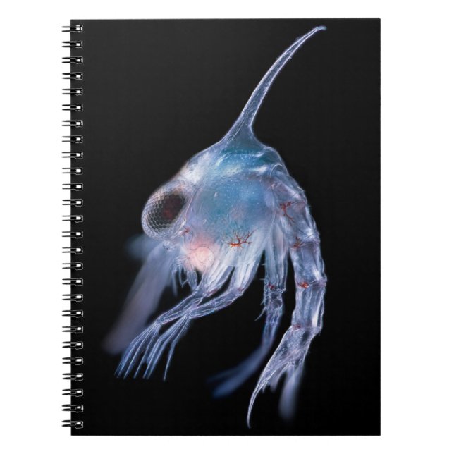 Planktonic Crustacean Notebook (Front)