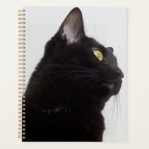 Planner