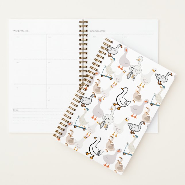 Planner (Display)