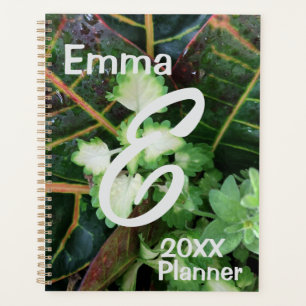 Planner, Croton Coleus plants Planner