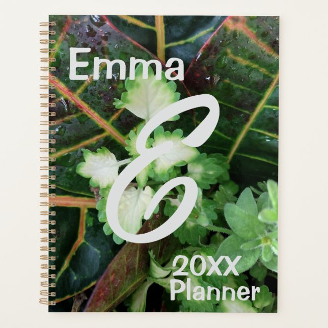 Planner, Croton Coleus plants Planner (Front)