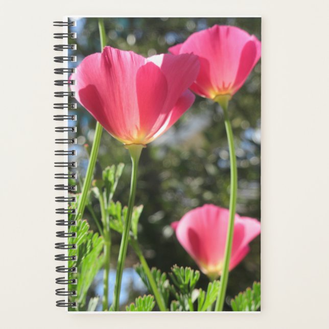Planner Mt Tamalpais with Pink Flowers (Front)