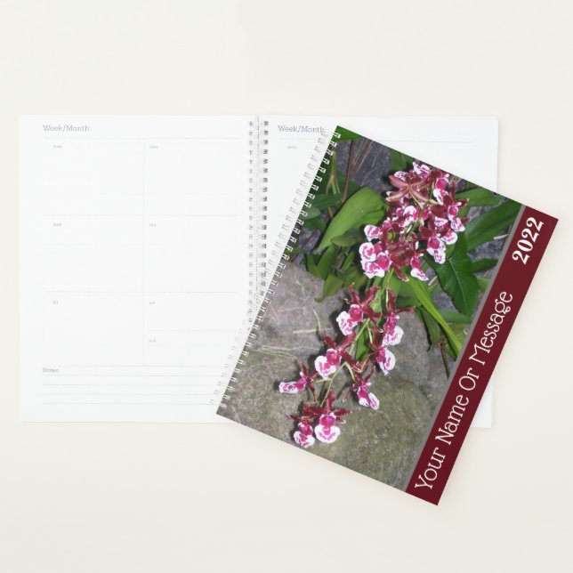 Planner - Tolumnia Jairak Rainbow Orchid (Display)