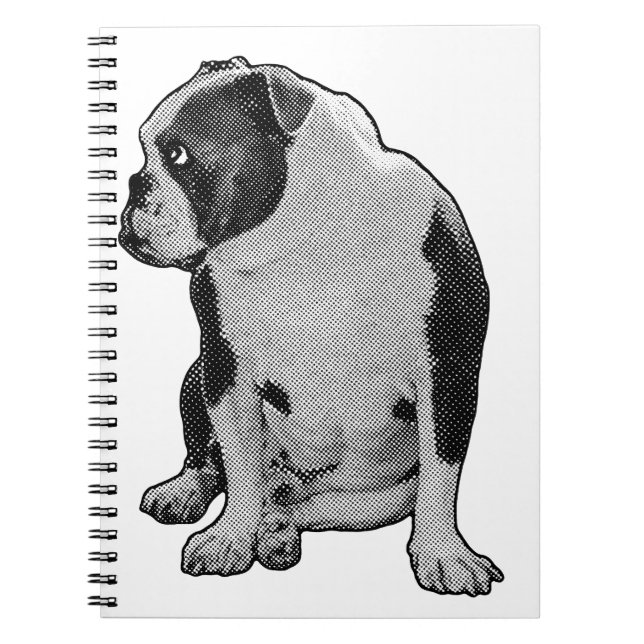 Plans Beside a Buddy Notebook (Front)