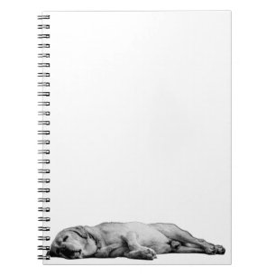 Plans for Tomorrow, Rest for Now Notebook