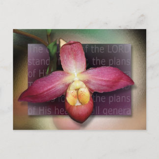 Plans of His Heart Postcard
