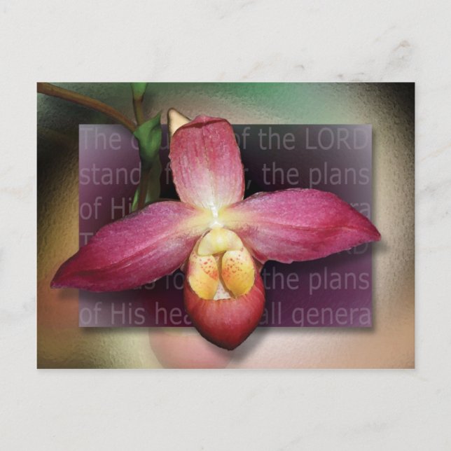 Plans of His Heart Postcard (Front)