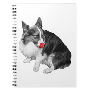 Plans with a Cherry Wink Notebook
