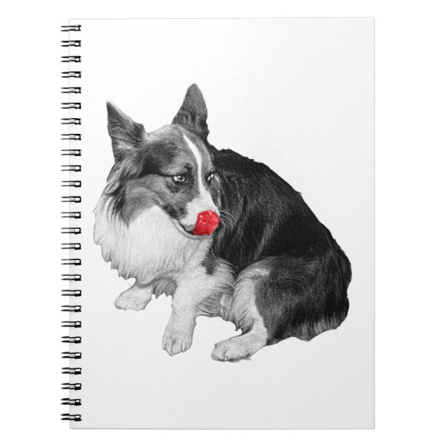 Plans with a Cherry Wink Notebook (Front)