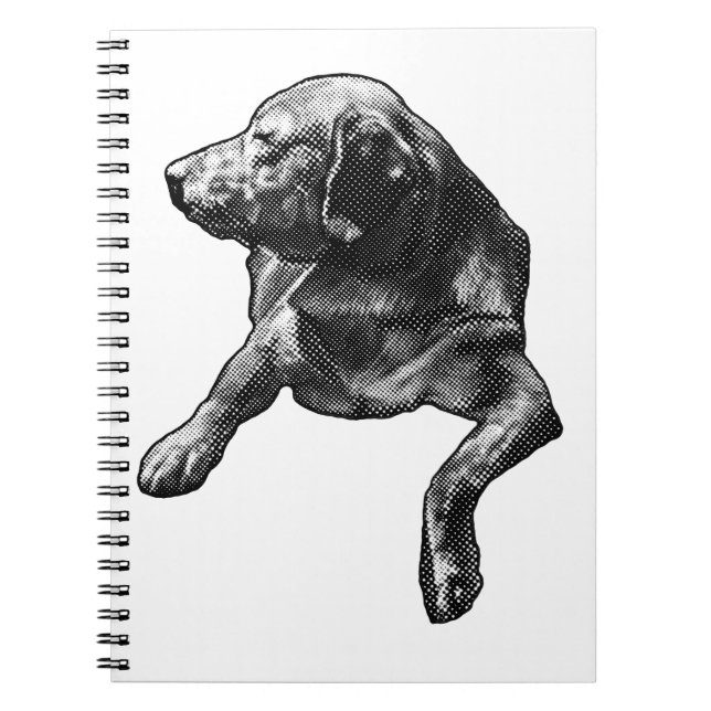 Plans with a Dot-Trimmed Lab Notebook (Front)