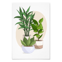 Plant 3 Vector Poster Print From My Sims 4 CC
