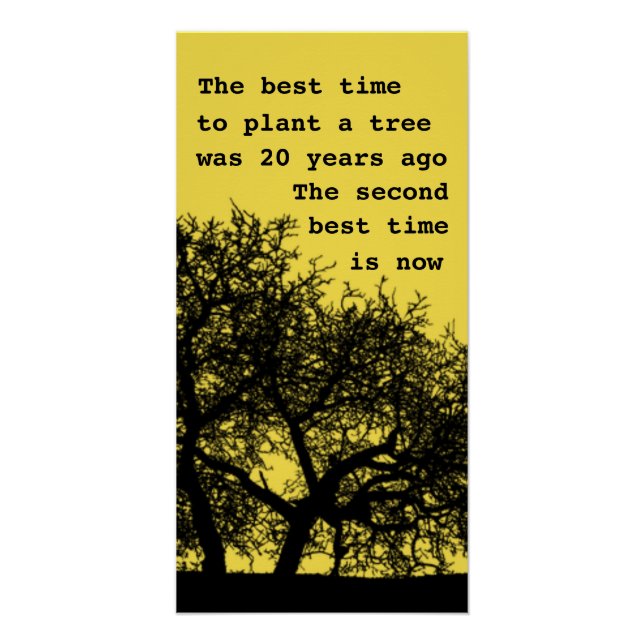 Plant a tree, it's not too late poster (Front)