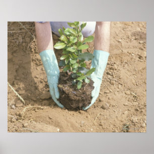Plant a Tree on Earth Day Poster