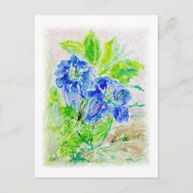 plant blue flower illustration postcard (Front)