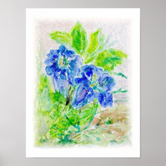 plant blue flower illustration poster