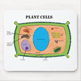 Plant Cell Diagram Mouse Pad