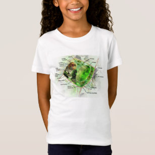 Plant Cell T Shirts Shirt Designs Zazzle Com Au