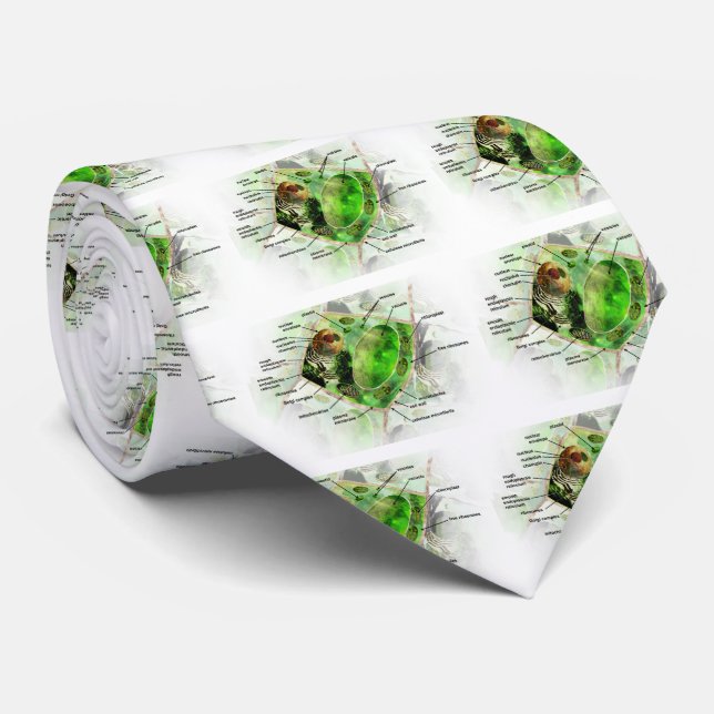 plant cell tie (Rolled)