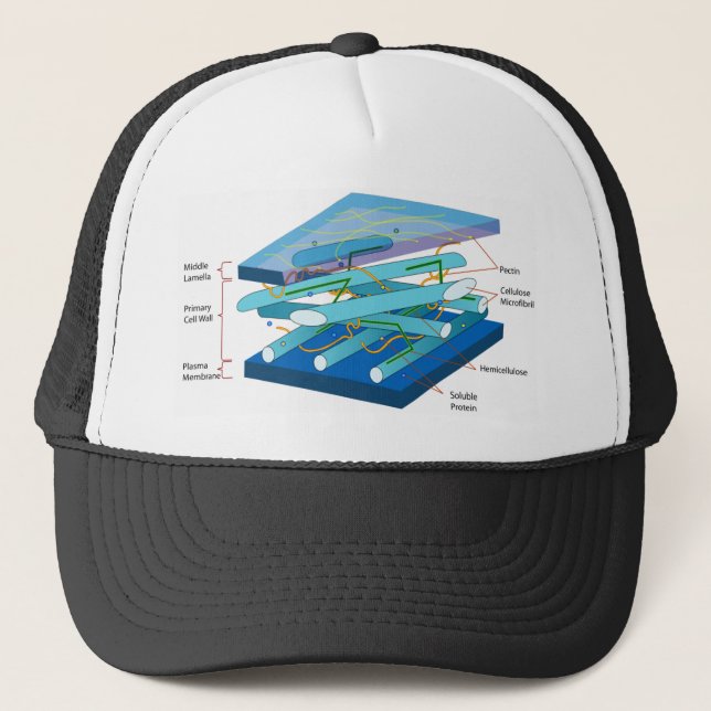 Plant cell wall diagram trucker hat (Front)