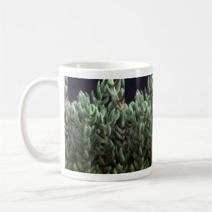 Plant Delosperma Coffee Mug
