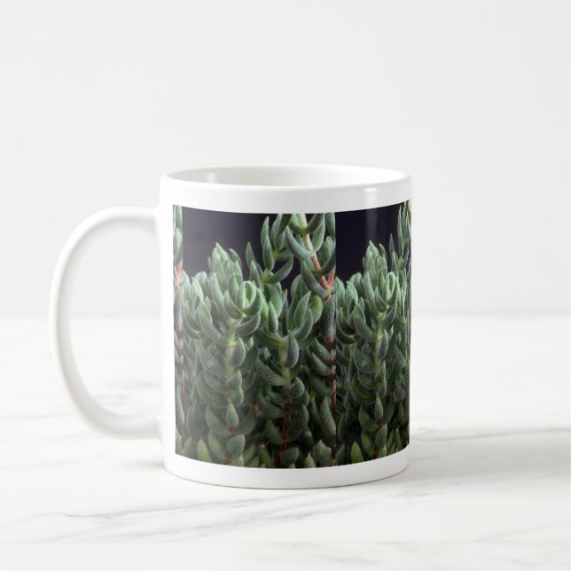 Plant Delosperma Coffee Mug (Left)
