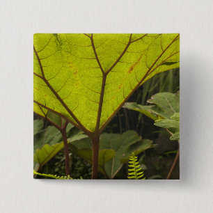 Plant detail at a botanical garden, Ecuador 2 15 Cm Square Badge