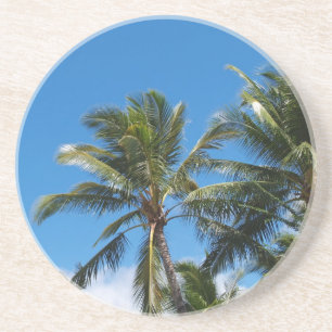 Plant/Flower Series---Palm Trees Coaster