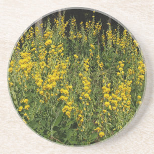 Plant/Flower Series---Pea Wildflower Coaster