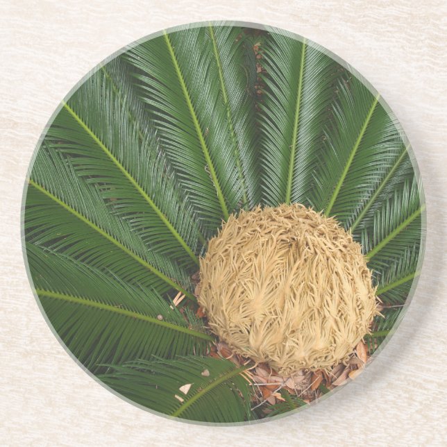 Plant/Flower Series---Sago Palm Coaster (Front)