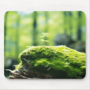 Plant Forest Nature Serene Tranquil Mouse Pad