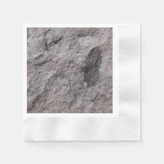 Plant Fossil 350 Million Yr. Old Printed Coctail Napkin