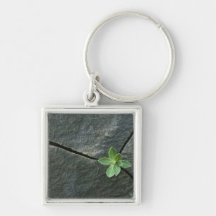 Plant Growing in Cracked Boulder Key Ring