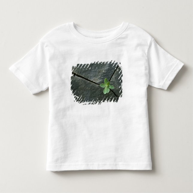 Plant Growing in Cracked Boulder Toddler T-Shirt (Front)